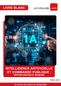 [Livre blanc] Intelligence artificielle et commande publique : opportunités et risques