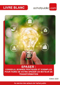 [Livre blanc] SPASER : Conseils, bonnes pratiques et exemples pour faire de votre SPASER un moteur de transformation